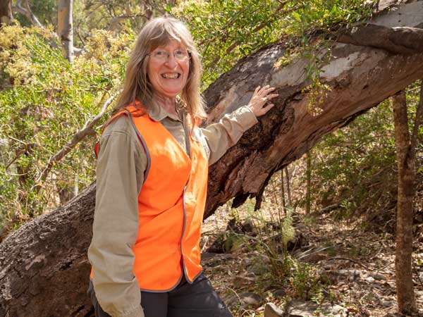 Person standing by tree