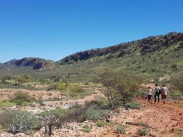 People hiking the East MacDonnell Ranges