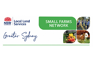Small Farms Network Logo