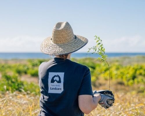 Broadwater discovery