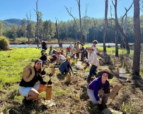 Field Trip Images 500x500(1)