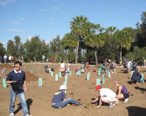Field Trip Images 500x500(5)